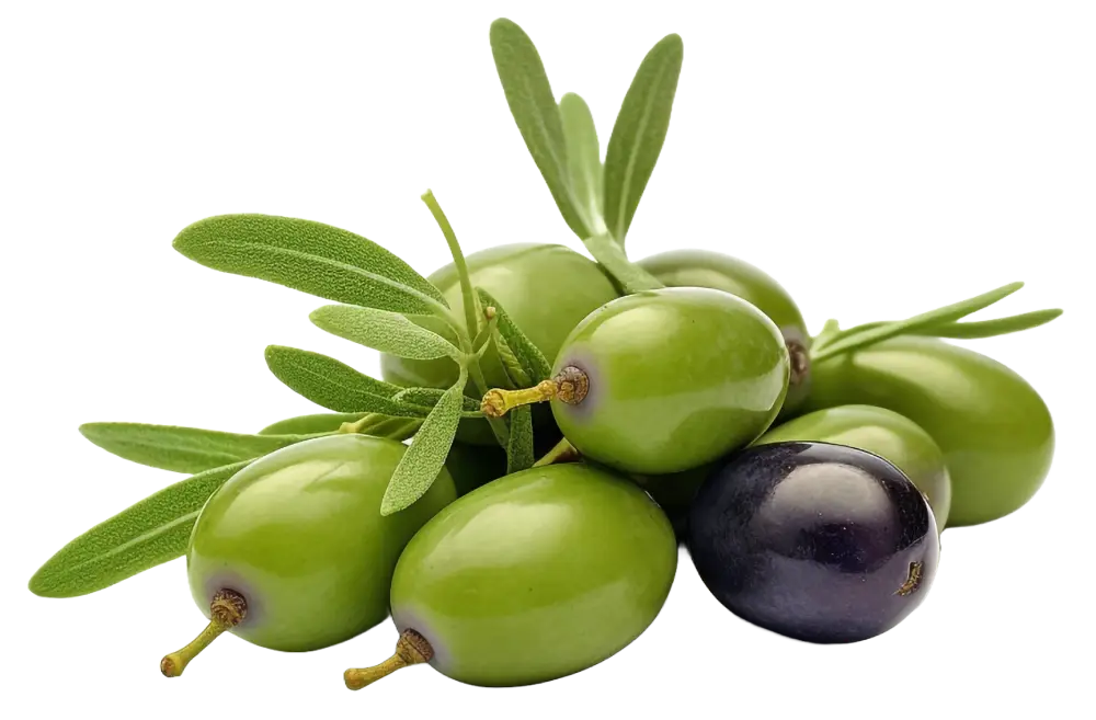 aceitunas