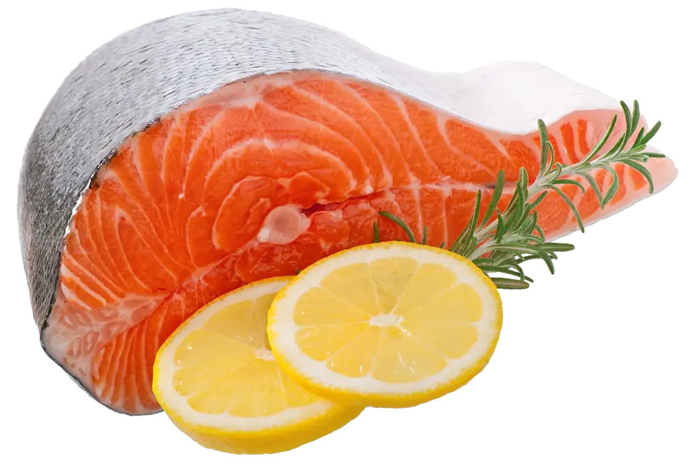 salmon